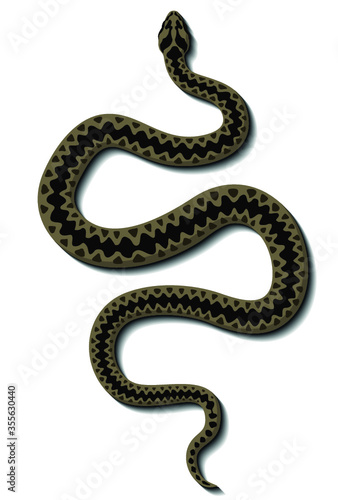 Viper snake vector logo.