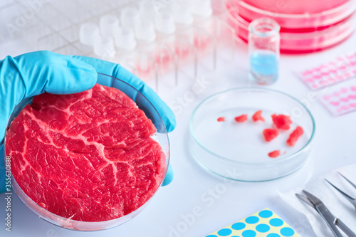 Meat sample in open disposable plastic cell culture dish in modern laboratory or production facility. Concept of cultured meat, cellular agriculture, slaughter-free eco friendly concept. photo