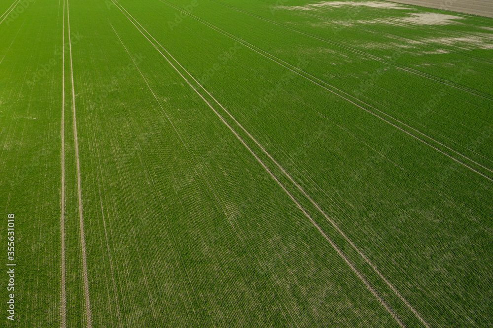 Obraz premium Aerial view of green field with tractor tracks