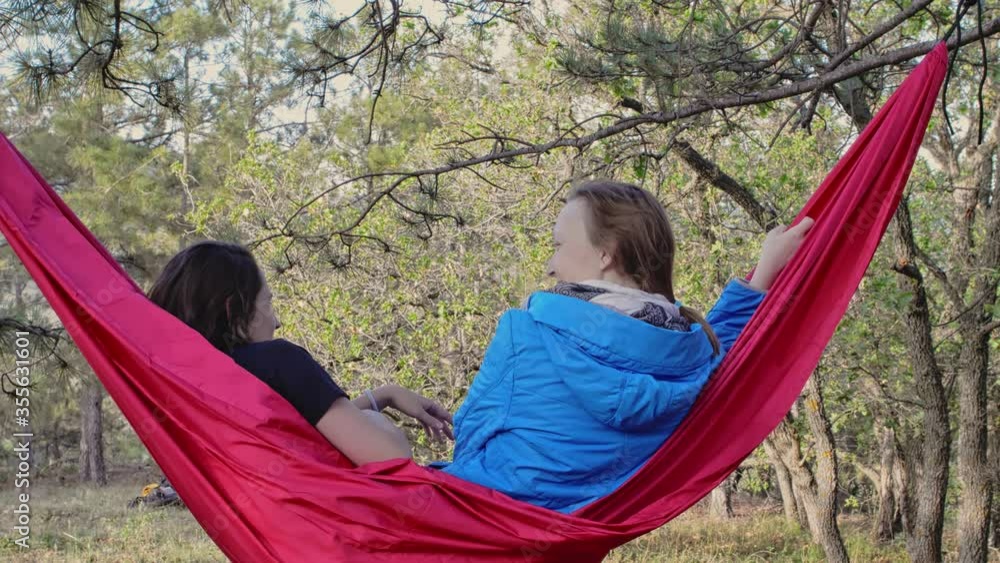 Two women chatting while sitting in a pine forest on a hammock Two women chatting while sitting in a pine forest on a hammock