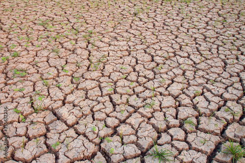 Close-up  of Dry Farmland Earth
