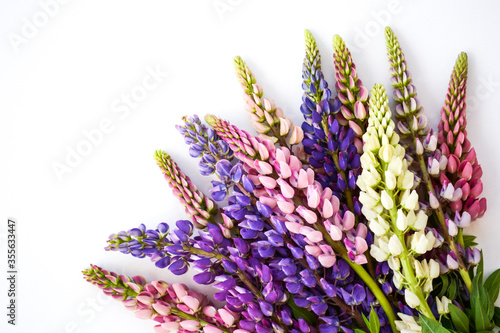 Photos Beautiful lupine flowers isolated on white background
