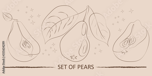 Vintage pears set, great design for any purposes.