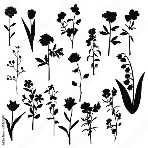 Set of silhouette flowers rose, daisy, Lily of the valley,tulip, spring and summer forest and garden field flower, black color isolated on white background