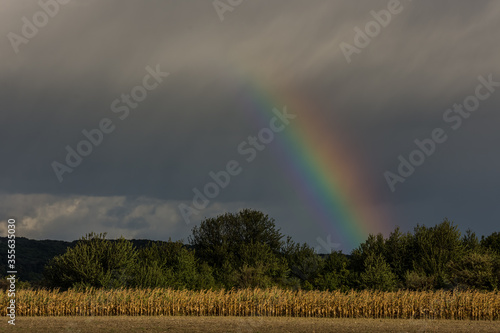 small rainbow in a field with storm clouds