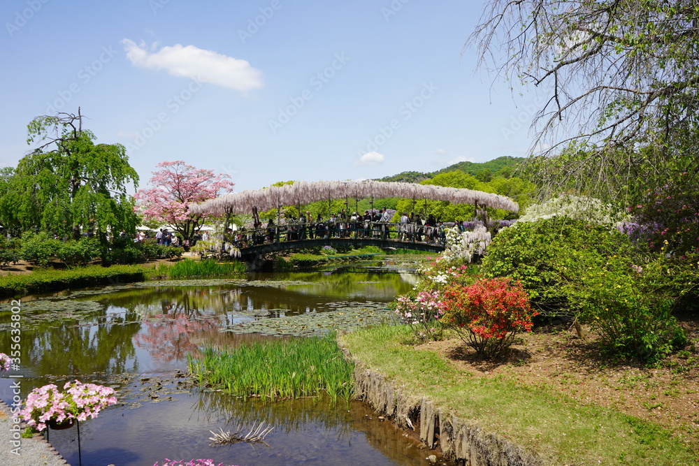 美しい庭　庭園　藤　石楠花　シャクナゲ　ツツジ  サツキ  初夏　春