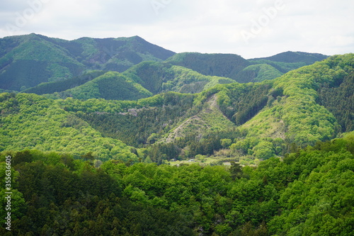 Fototapeta Naklejka Na Ścianę i Meble -  日本の田舎　夏休み　山　風景