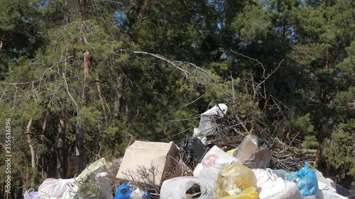 Garbage dump near the pine forest. Dirty plastic, metal and paper garbage lying on the grass Junkyard full of messy trash polluting the environment. Ecological disaster