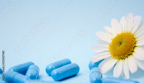 blue capsules and a chamomile flower on a blue background. concept of treatment of Allergy to flowers, layout pharmacy. Flatlay/ Copyspace.