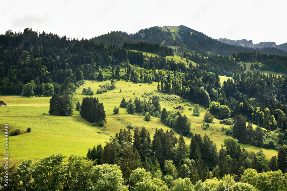 landscape near Ringoldingen village. Canton of Bern. Switzerland