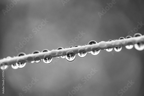 water drops on a clothesline on a rainy day