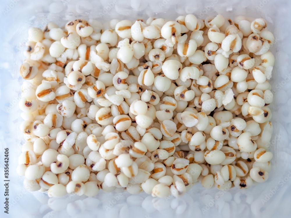 Boiled millet Boiled millet