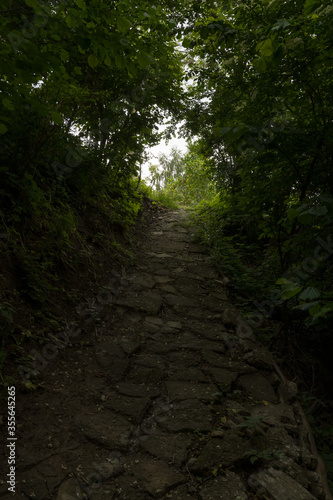 A Mysterious Stone-Made Forest Path Leading to a Meadow