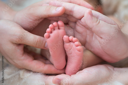 newborn baby feet in hand