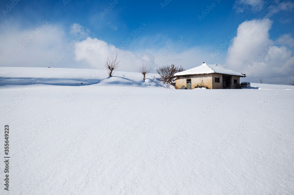 a white snowy landscape