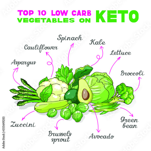 Vector illustration of low-carb ketogenic diet best vegetables