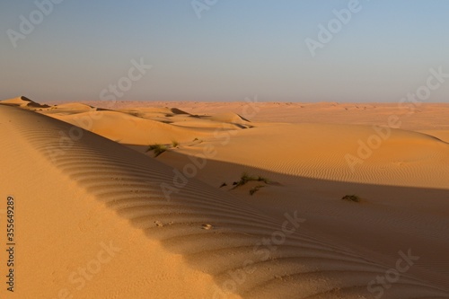 A view of the Wahiba Sands Desert. It has an area of 12,500 square kilometers, located in the northeastern part of the Arabian Peninsula. The sand dunes reach a height of 100 meters. Oman. Asia.