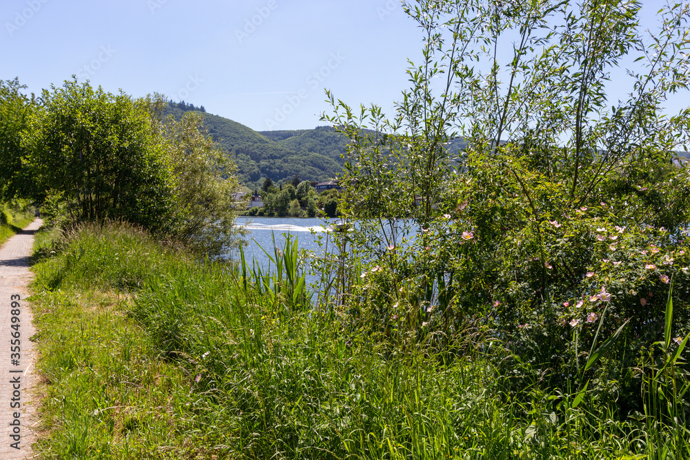 Footpath along the bank of river Moselle