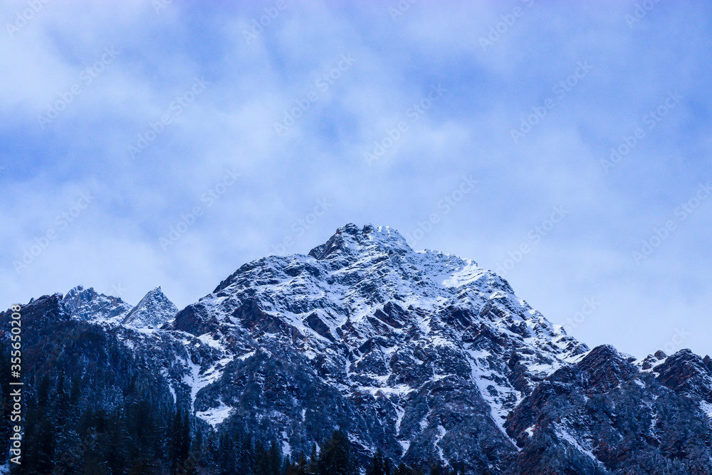 snow-covered mountain with pine trees at the bottom of the mountain. focus on infinity.