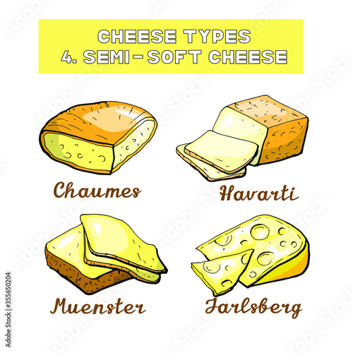 Vector illustration of cheese types and sorts