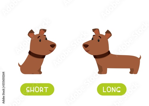 Short and long dogs  illustration with typography Flashcard for english language learning. Big and small opposites concept. Huge and tiny antonyms word card flat vector template.