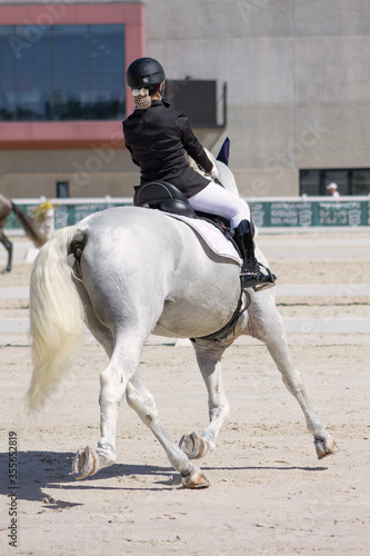 Back view of Pure white andalusian horse trotting in a dressage contest with young rider on his back.