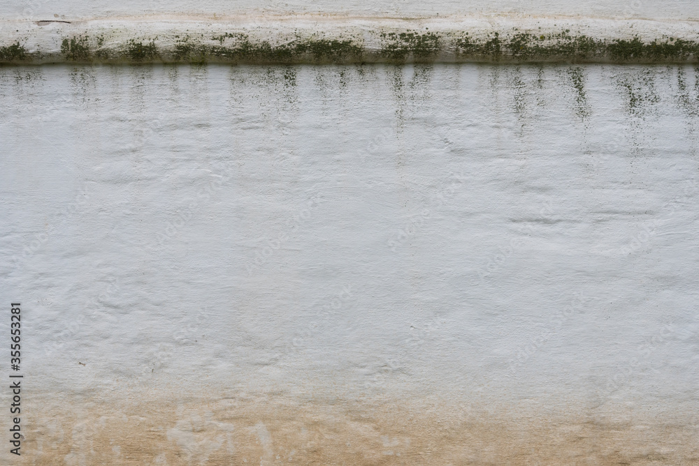 Old white wall, mold on top, dirt on the bottom. Background, texture. Old white wall, mold on top, dirt on the bottom. Background, texture.