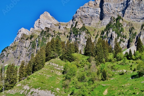 Fototapeta Naklejka Na Ścianę i Meble -  Bergwandern unterhalb der Churfirsten, Ostschweiz