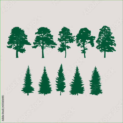 Set of vector evergreen trees. Silhouettes of  pines and spruce trees
