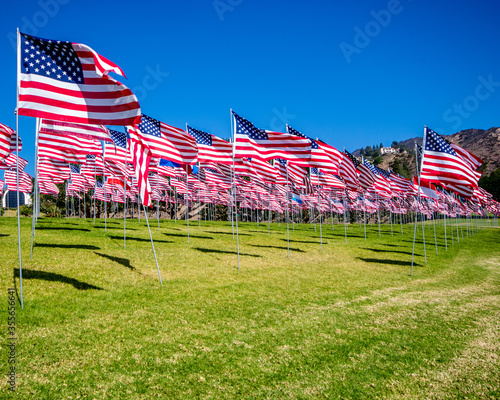 American flags in wind