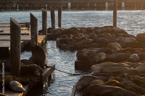 pier in the sea in San Francisco