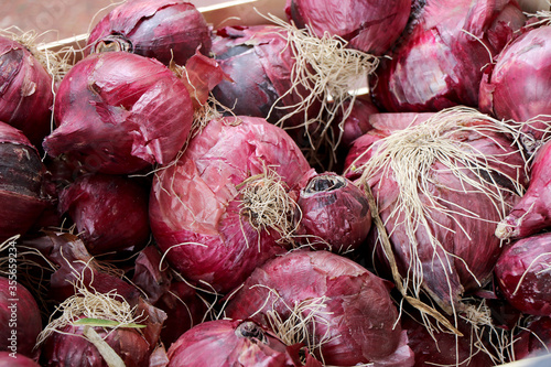 Close up of onions for sale in a vegetable market