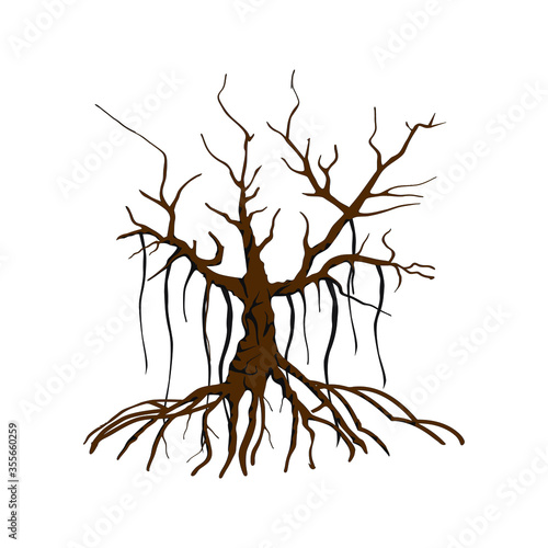 dried tree and roots vector illustration. banyan tree isolated on white.
