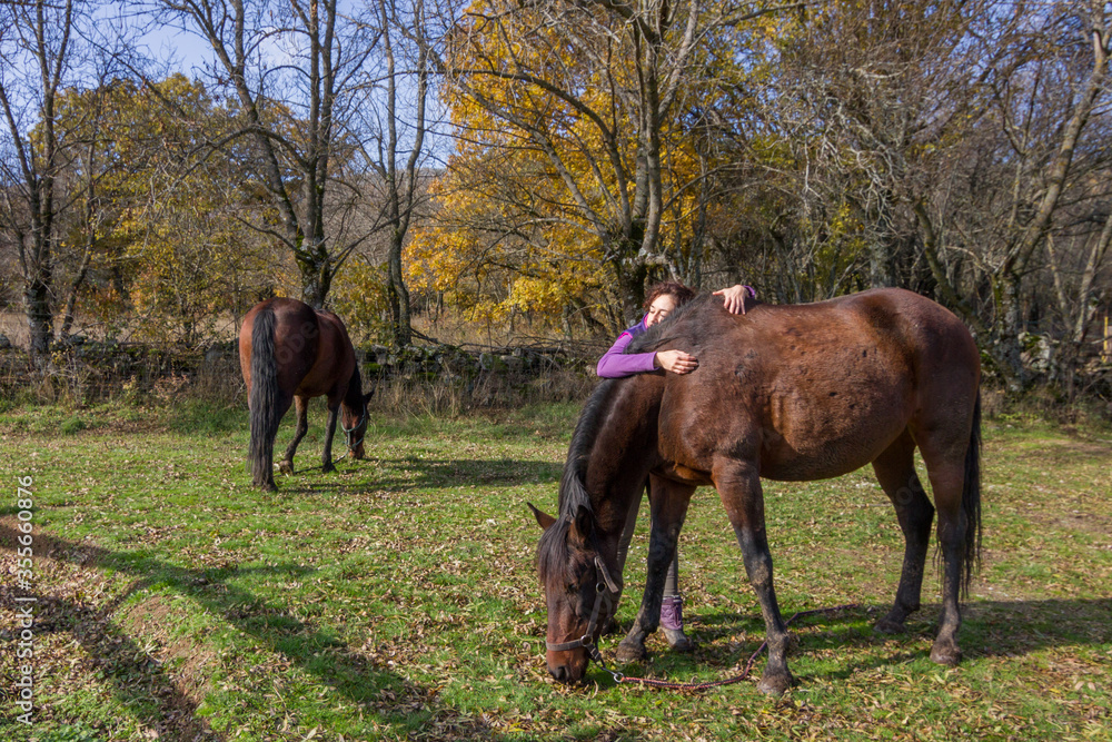 Woman hugging her andalusian mare while another mare grazes in the background. Woman hugging her andalusian mare while another mare grazes in the background.