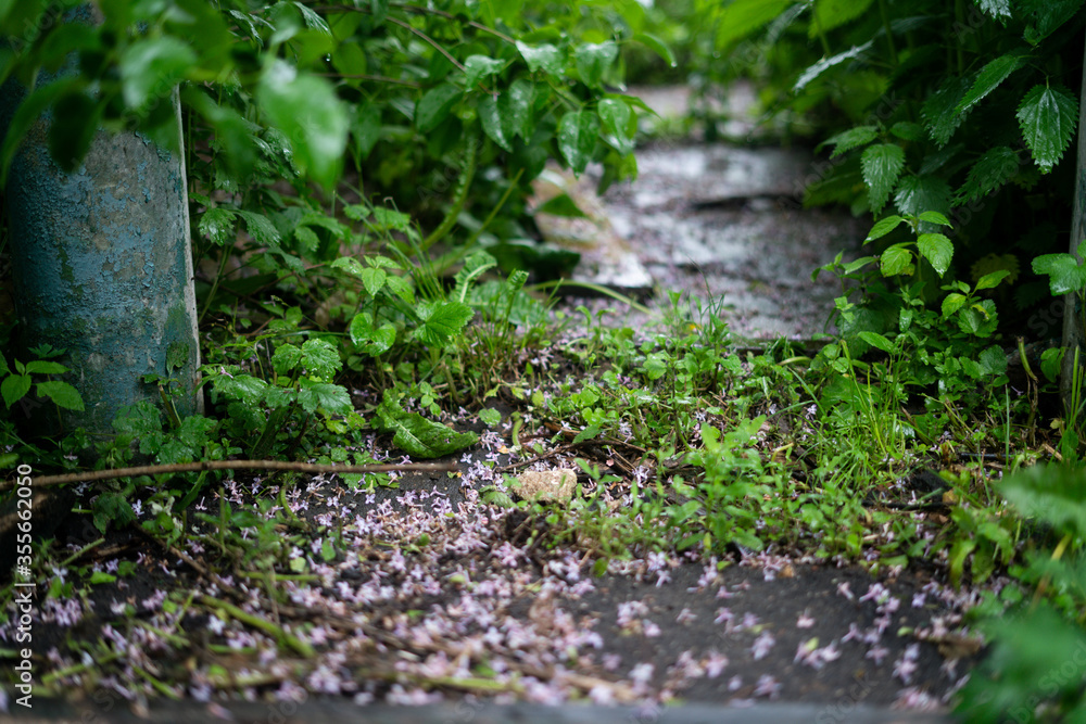 insulation insulation