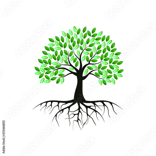 Mangrove Tree and roots icon vector illustration