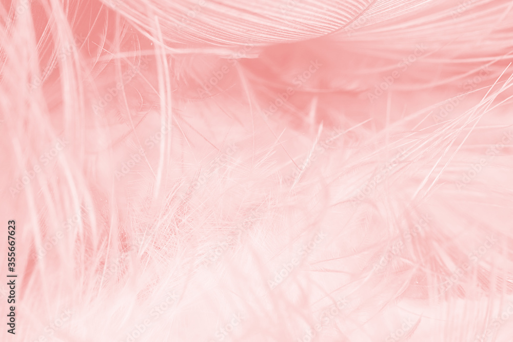 Beautiful light pink feather pattern texture background Beautiful light pink feather pattern texture background