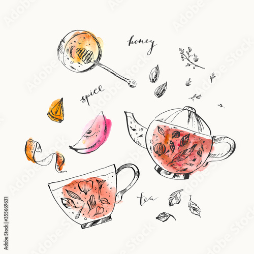 Hand drawn food and drink illustration. Ink and watercolor sketch of teapot, tea cup, honey, apple, zest, herbs