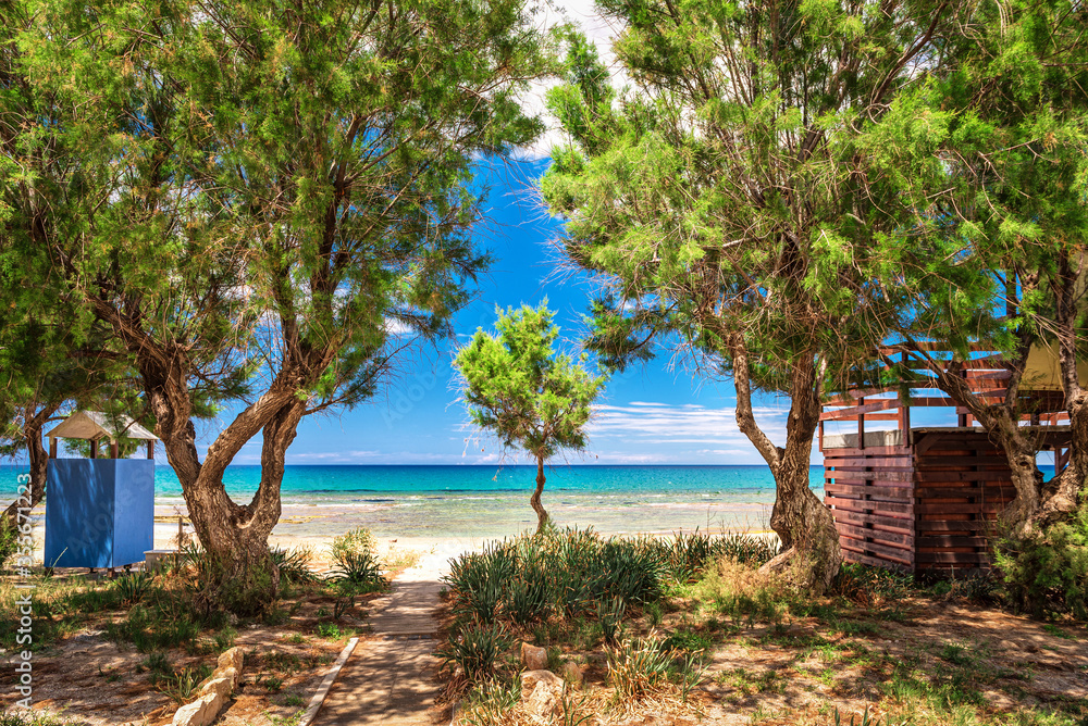 The photo of deserted sandy beach, blue sky, green blue waters of the Mediterranean sea and blooming trees (Tamarix aphylla / Almirikia) in summer sunny day (Anissaras, Crete, Greece). 
