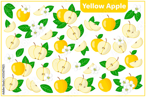 Set of vector cartoon illustrations Yellow apple exotic fruits, flowers and leaves isolated on white background