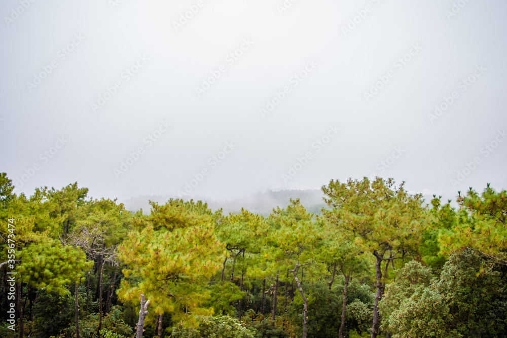 Fototapeta premium Shillong View Point, Laitkor Peak shillong meghalaya india. 