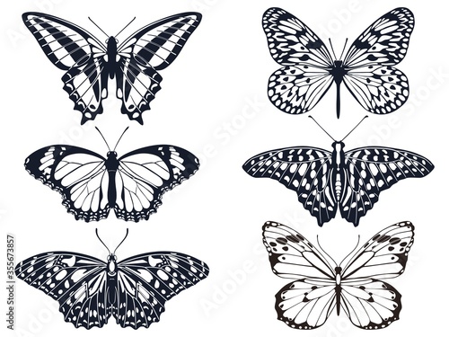 Collection of black butterfly icons with patterns. Vector illustration