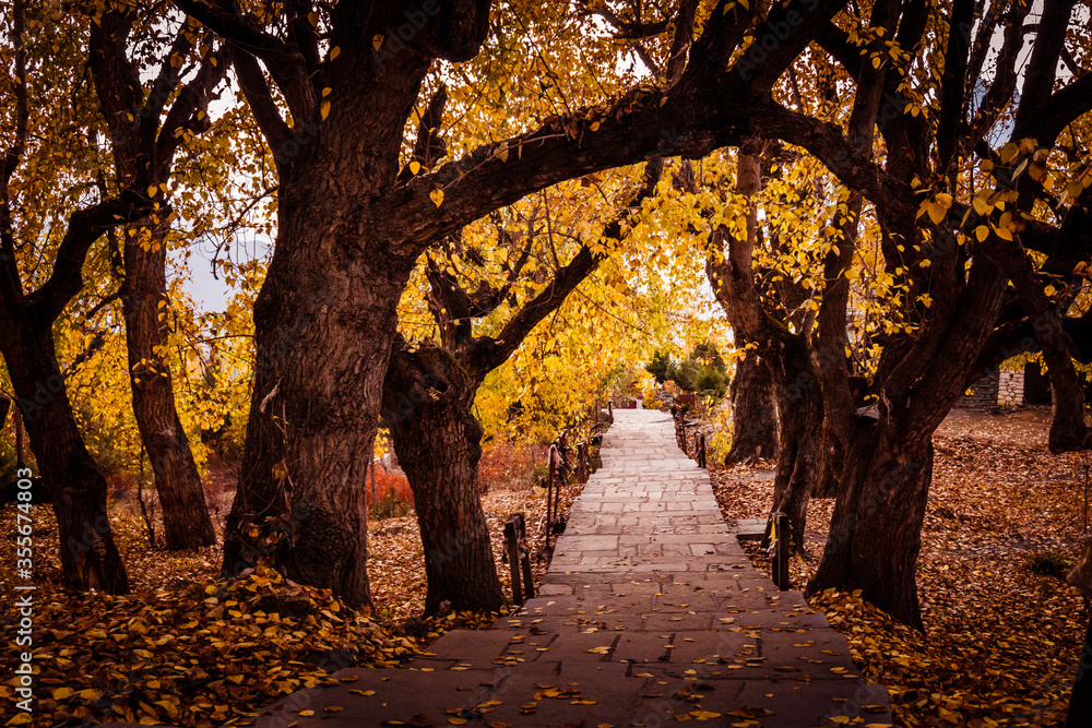 Stone paved alley leading to Muktinath Temple in Mustang, Nepal during autumn season. Ancient poplar trees have turned yellow and orange during autumn season.