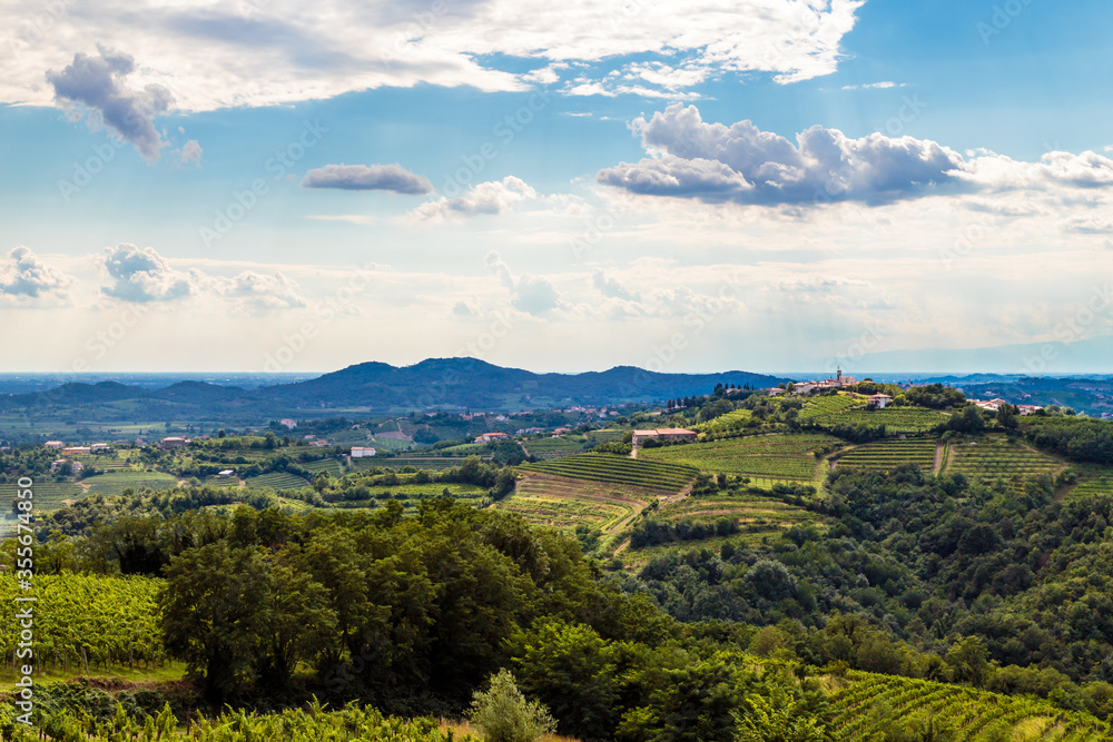 The beautiful vineyard of Collio, Friuli Venezia-Giulia, Italy The beautiful vineyard of Collio, Friuli Venezia-Giulia, Italy