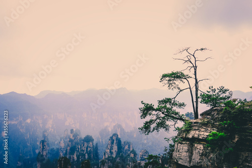 Tianzi mountain and Yunqing rock at Zhangjiajie national forest park,Wulingyuan,Hunan,China photo