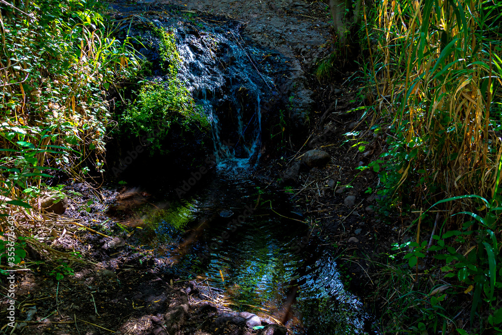 wild landscape with creek, stones and trees with beautiful colors and sunlight and shadows in the canaries. wild landscape with creek, stones and trees with beautiful colors and sunlight and shadows in the canaries.