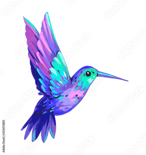 Hummingbird set. Bird illustration. Hand drawn illustration. Isolated