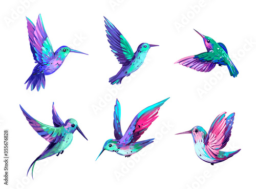 Hummingbird set. Bird illustration. Hand drawn illustration. Isolated © aksol