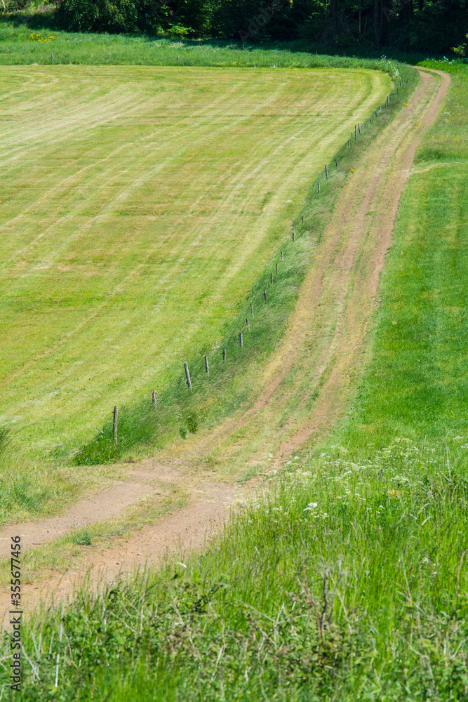 Obraz premium Eifellandschaft