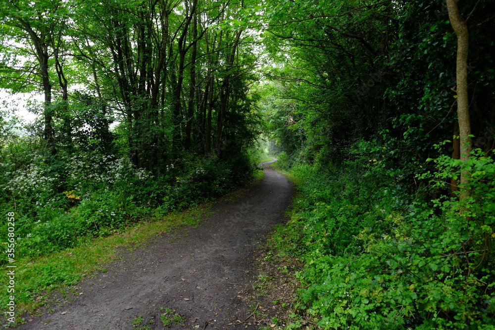 Green background at le Pouliguen. May 2020, west of France. Green background at le Pouliguen. May 2020, west of France.
